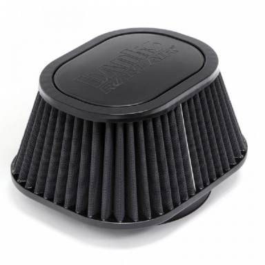 Banks 42138-D Dry Synthetic Replacement Filter